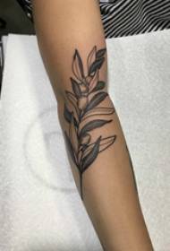 Tatuatu di bracciu materiale braccia nera braccia pianta tatuaggio di braccia