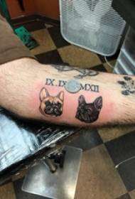 Armtatueringsmaterial, hanhund, färgad valp, tatueringsbild