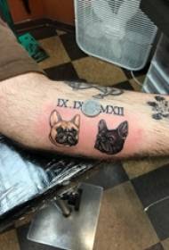 Materjal tat-tatwaġġ tad-driegħ, kelb maskili, puppy kkulurit, stampa tatwaġġ