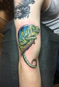Braç estudiant masculí tatuatge animal petit a la branca de l'arbre i la imatge del tatuatge de camaleó