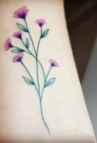 Mică tatuaj de plante proaspete cu pictură de flori pe braț