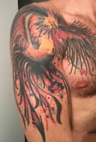 Tattoo fire phoenix muž student paže na fénix tetování obrázek