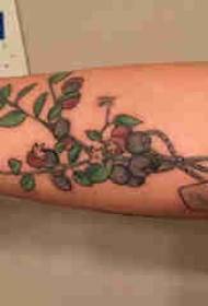 Tattoo i bimëve, krahu i djalit, foto e vogël me tatuazhe të bimëve të freskëta