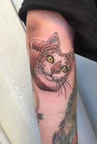 Armi del ragazzo maschio del tatuaggio del gatto sull'immagine colorata del tatuaggio del gatto