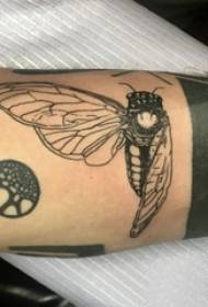Braccio di studente maschio piccolo tatuaggio animale sull'immagine nera del tatuaggio dell'insetto
