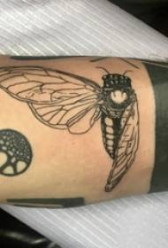 Pequeño animal tatuaje brazo estudiante masculino en imagen de tatuaje de insecto negro