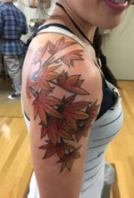 楓葉紋身插圖女孩的手臂在楓葉紋身圖片上