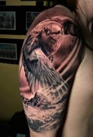 Tetoválás sas minta férfi hallgató karja a fekete szürke tetoválás sas tetoválás minta