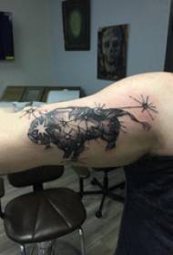 Baile animal tattoo lengan siswa pria pada gambar tato hewan