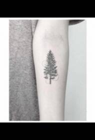 Pine tattoo fi nwa bra pen tatou foto sou bra