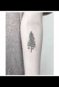 Pine tatoeage meisje swarte earm tatoeage foto op earm