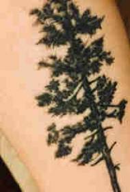 Plantera tatueringspojkesarm på svart tatueringsbild