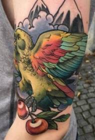 Vogel tattoo jongen arm op vogel tattoo heuvel piek tattoo foto