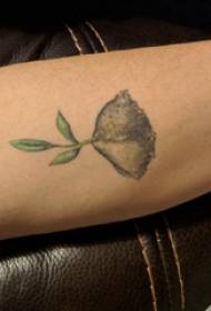Augalų tatuiruotės merginos ranka ant spalvoto augalų tatuiruotės paveikslo