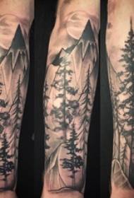 Kalno viršūnės tatuiruotės berniuko rankos ant medžio tatuiruotės nuotrauka