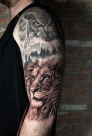 Arm tattoo picture فتى الذراع على البومة والأسد وشم صورة