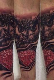 Mnyamata wa tattoo wa owl yemwe amalemba zikwama za tattoo owol