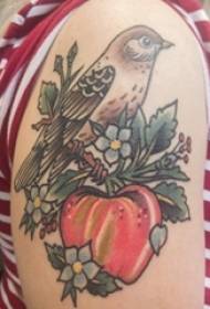 Uccello tatuaggio ragazza uccello sul modello di tatuaggio uccello