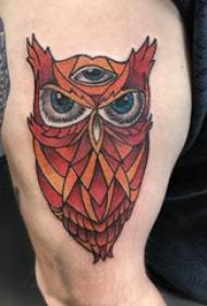 Tattooed Owl Male Painted Owl Tattoo Picture on Arm