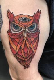 ຮູບແຕ້ມຕົ້ນໄມ້ສັກສີ Owl Tattooed ຮູບແຕ້ມໃສ່ແຂນ