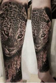 Pardus caput studiosum scriptor masculum tattoos Threicae tenti pictura digito super caput leopardi