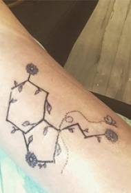 Tanaman tato siswa laki-laki lengan pada gambar tato tanaman anggur hitam