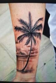 Ručni materijal za tetovažu, muški dlan, slika tetovaže kokosovog stabla u boji