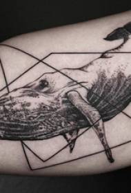 Materiál tetovania na rameno, mužské rameno, geometria a veľryba tetovanie
