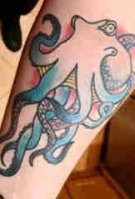 Ang pattern sa tattoo sa Octopus nga pattern sa tattoo sa lalaki nga bukton