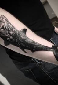 Braccio dello studente maschio del tatuaggio animale di Baile sull'immagine del tatuaggio dello squalo nero