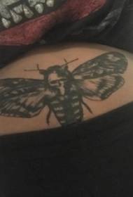 Бабочка тасвири духтари шиками бабочка тасвири tattoo