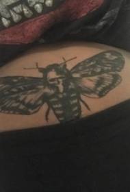 Butterfly εικόνα τατουάζ πεταλούδα κορίτσι πεταλούδα τατουάζ