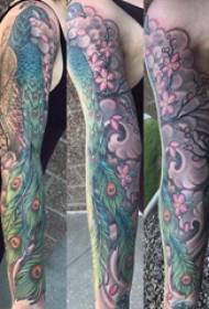 Татуировка павлина девушка рисунок татуировки павлина на руке
