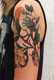 Tattoo թռչուն աղջկա թռչնի թռչունների դաջվածքների օրինակին