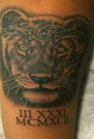 Beso tatuaje materiala, gizonezko besoa, ingelesa eta tigrearen tatuaje argazkiak