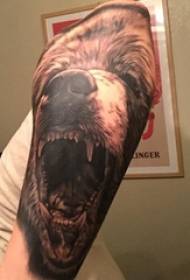 O brazo do tatuaje do oso na foto do animal do tatuaje do oso
