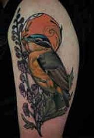 Kuş dövmesi çocuğun koluna kuş dövmesi baile hayvan dövme resmi