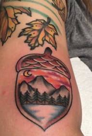 Plant tattoo girl's arm on landscape and pine cone tattoo pictures