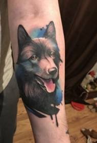 小狗紋身圖片女孩手臂上動物紋身小狗紋身圖片