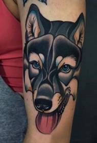 Poza tatuaj braț fată colorat tatuaj cap de lup