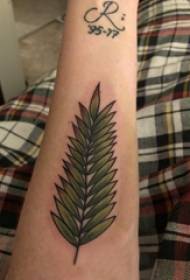 Planta brazo do neno tatuado na imaxe tatuaxe das follas de cores