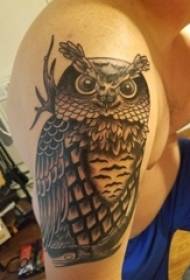Braccio dello studente maschio del gufo del tatuaggio sull'immagine del tatuaggio del totem del gufo
