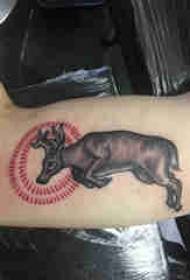 ラウンドと鹿のタトゥー画像にベイル動物のタトゥー男性学生の腕