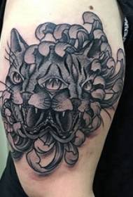 Cat tattoo girl kitten on the arm tattoo picture