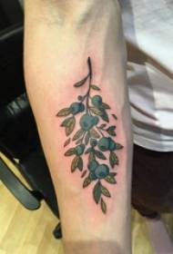 Bracciu di a ragazza di u tatuu di pianta nantu à una piccula stampa di tatuaggi di pianta fresca