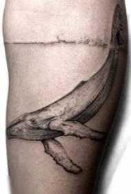 Kreatives Waltätowierungsbild des männlichen Studenten des Tätowierungswals auf Arm