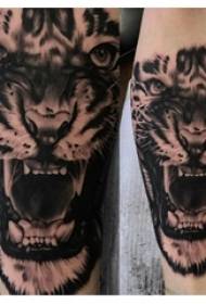 Xwendekarê mêr a Tiger totem tattooê li ser modela tattooê serê tiger