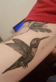 Fotografi për tatuazhin e krahut krahun e djalit në foton e zezë të tatuazhit të hummingbird