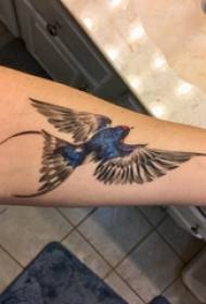 Tatuagem pintada, braço de menino, imagem colorida de tatuagem de pássaro