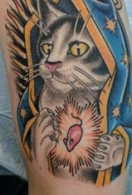 Roko tetovirana slika mačje tetovaže na fantovi roki